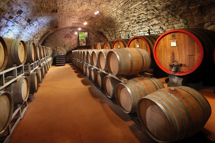 Show item 1 of 6. Small group wine experience in the Tuscan countryside