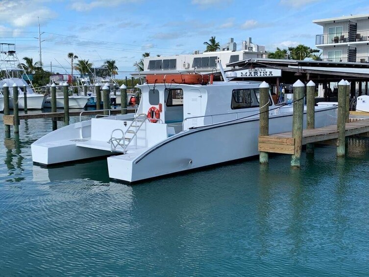 Catamaran Cruise with Jetskis, water activities in Miamis