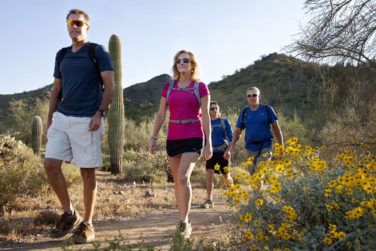 Half-Day Sonoran Desert Hiking Tour