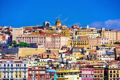 Tour of Cagliari with stops in the historic districts and flamingo park