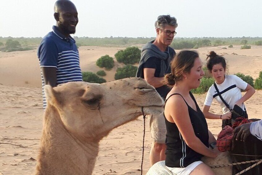Private 10-Days Parks and Bassari Country Tour