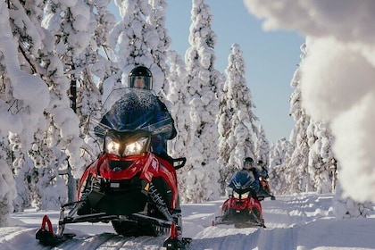 Thrill of Snowmobiling for Adults Only