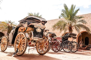 Sheikh Faisal, Camel Race Track & Equestrian Club Tour
