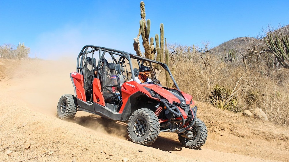 Margaritas Beach & Desert UTV Adventure