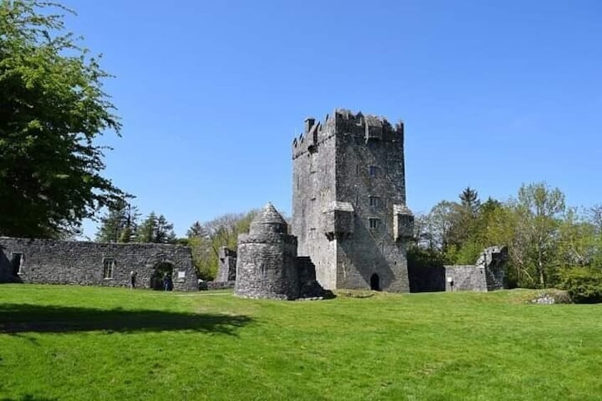 Dunguaire Castle