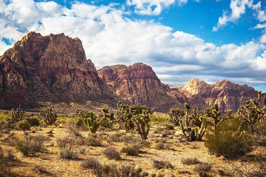 California Desert, Red Rock Sign, Seven Magic Mounts Walking Trip