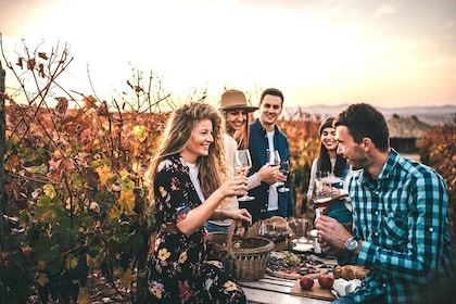 Wine Tasting Private Tours in Willamette Valley