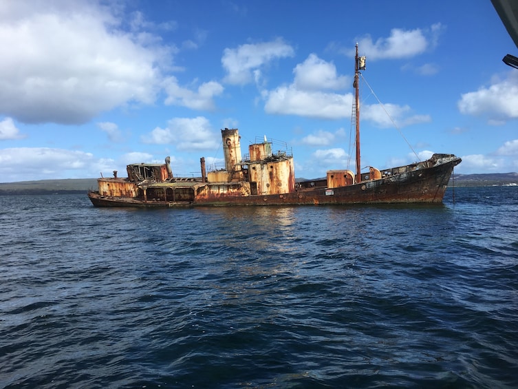 Show item 3 of 3. Island Tour 2 Hours of Albany's stunning Harbour & Sound