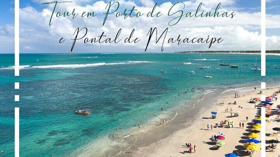 Day Trip to Porto de Galinhas from Recife