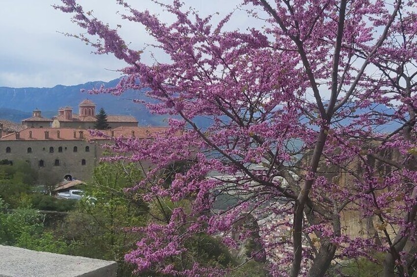 Private Day Trip from Thessaloniki to Meteora