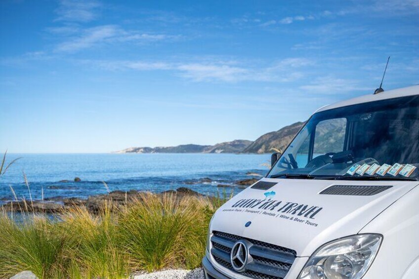 Kaikoura Day Trip From Christchurch (Small Group & Carbon Neutral)