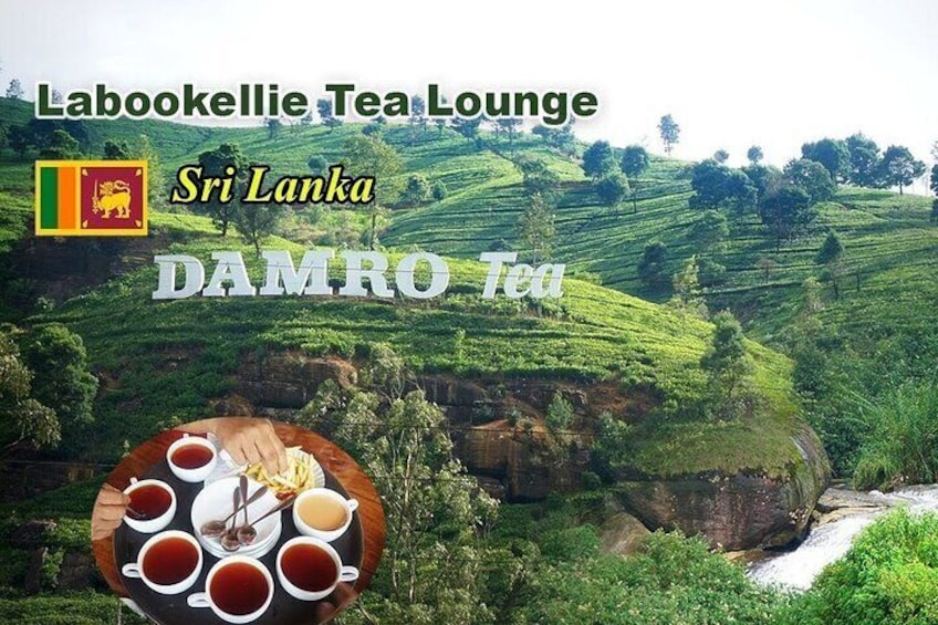 Damro Tea Factory