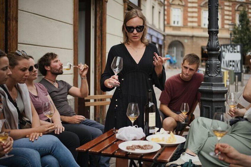Food and Wine Tasting with a Sommelier