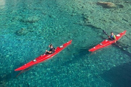 Saint Nicholas Island Sea Kayaking Daily Tour