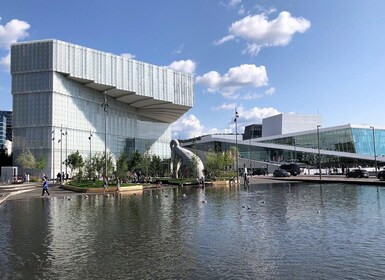 Oslo : Grande ville excursion et fjord croisière