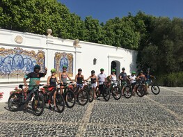 Half-day White Villages E-Mountain Bike Tour