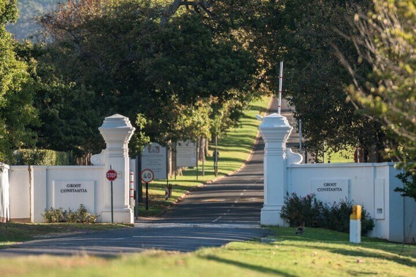  Robben Island ,Kirstenbosch Gardens and Groot Constantia.