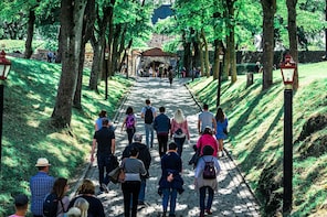 Oslo City Walk (Small Group Tour)