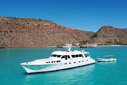 7-Day Journey to the Sea of Cortez Adventure Cruise from Cabo/La Paz