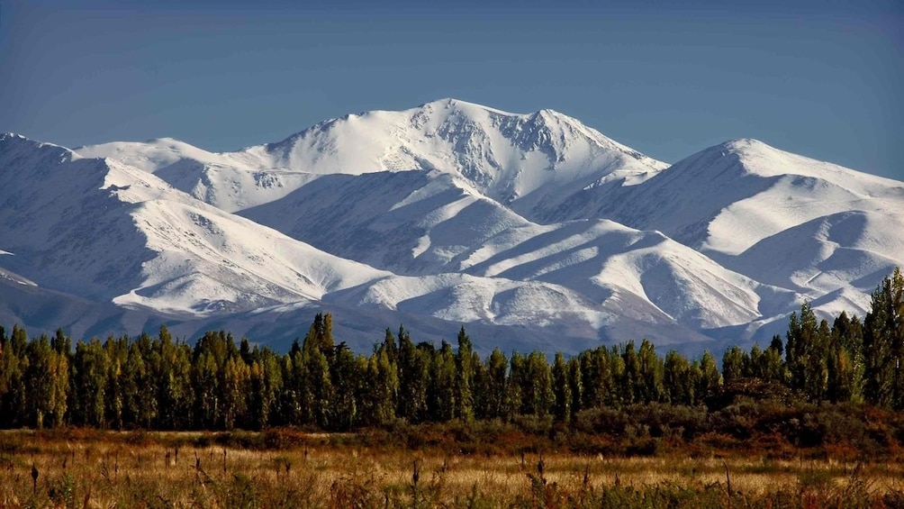Show item 5 of 10. High Mountain Sightseeing Tour