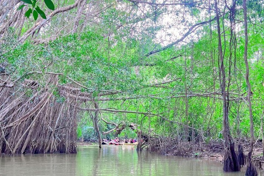 Full Day Canoe Boat Trip At Takuapa Little Amazon From Khao Lak