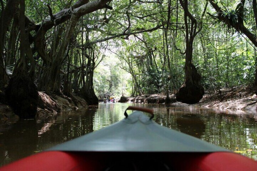 The Little Amazon and Sri Phang Nga Waterfall Full Day Tour From Khao Lak