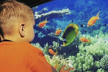 Marsa Alam Semi-Submarine Adventure