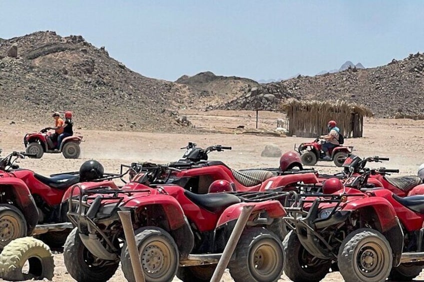 Sharm Elsheikh Safari by Quad ATV, Bedouin Dinner, Show with Transfer