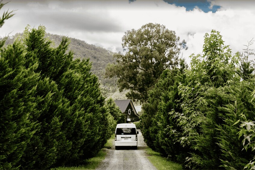 Picture 3 for Activity Gold Coast: Private Winery Tour in a New Luxury Vehicle