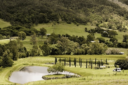 Gold Coast: Private Winery Tour in a New Luxury Vehicle