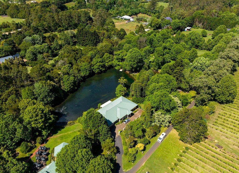 Picture 21 for Activity Brisbane: Tamborine Mountain Local Winery Tour with Lunch