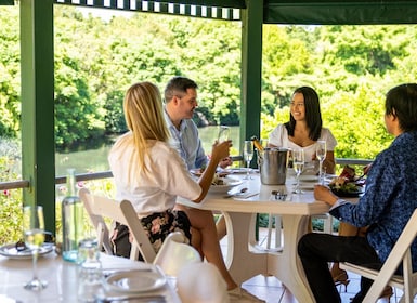 Brisbane/Tamborine Mountain: Lokale wijnmakerij tour met lunch