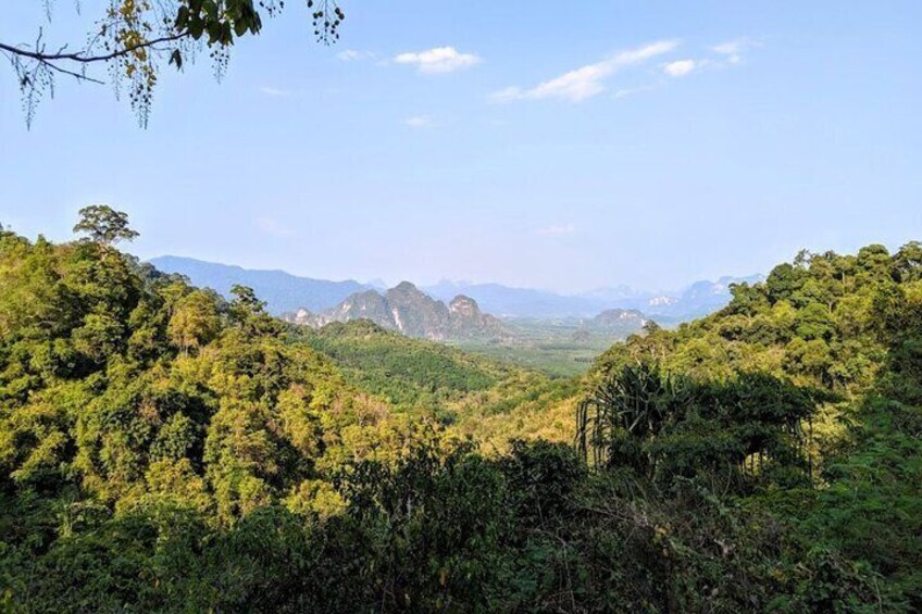 Half Day Khao Sok River Tour By Canoe From Khao Lak