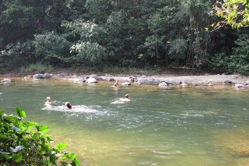 Half Day Khao Sok River Tour By Canoe From Khao Lak