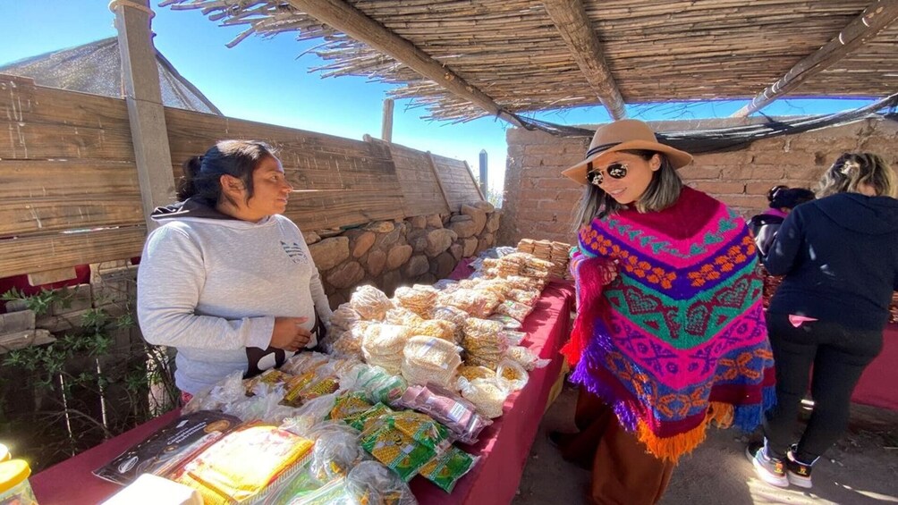 Full-Day Cachi Sightseeing Tour in Salta