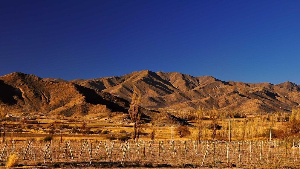 Full-Day Cachi Sightseeing Tour
