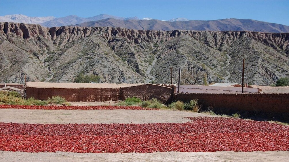 Full-Day Cachi Sightseeing Tour in Salta