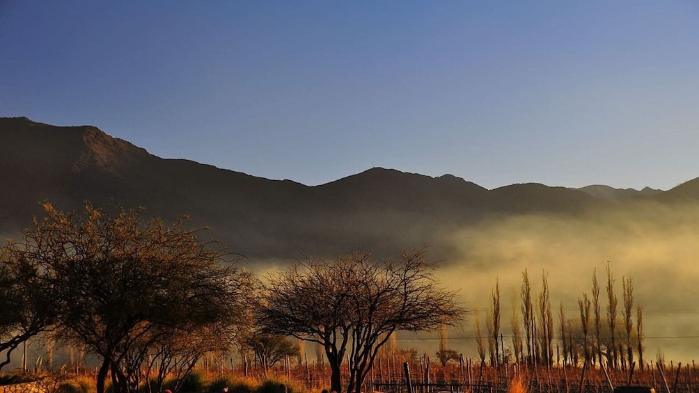 Full-Day Cachi Sightseeing Tour in Salta