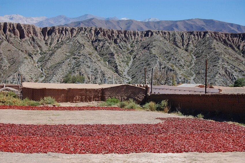 Full-Day Cachi Sightseeing Tour 