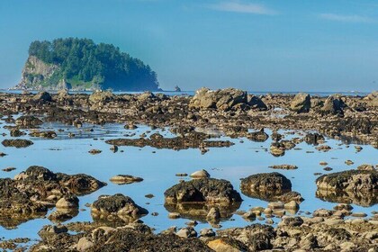 3-Day Olympic Backpacking - The Ozette Coast