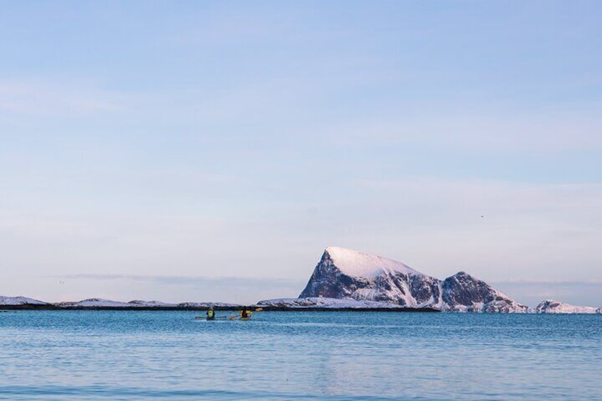 Discovery tour of the island of Senja and Kvaløya from Tromsø