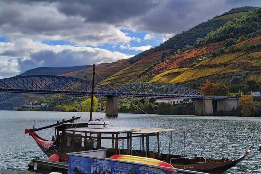 Douro Valley Prime Tour: Wine Tasting, Boat and Lunch from Porto