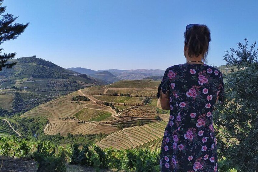 Full-Day Guided Wine Tasting with Lunch Tour in Douro from Porto