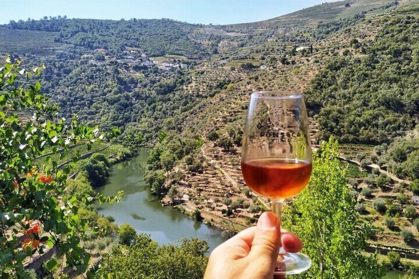 Full-Day Guided Wine Tasting with Lunch Tour in Douro from Porto