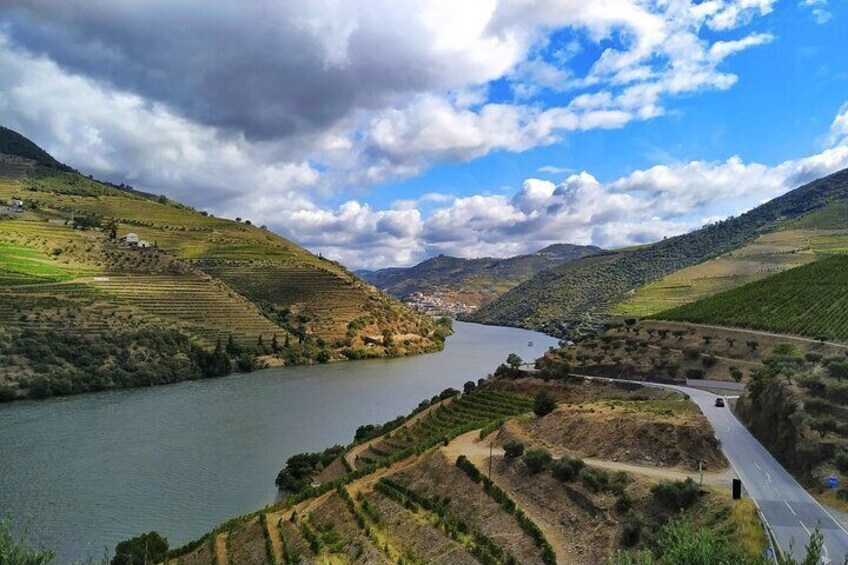 Full-Day Guided Wine Tasting with Lunch Tour in Douro from Porto