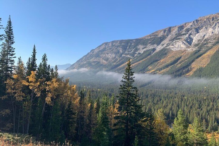 Banff Wildlife Safari Tour and Nature Walk - 4 Hours