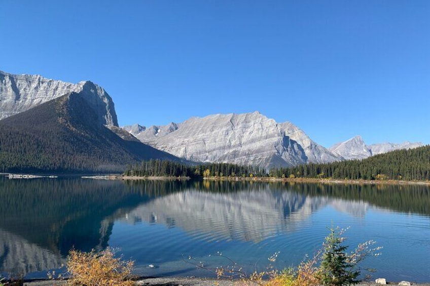 Banff Wildlife Safari Tour and Nature Walk - 4 Hours