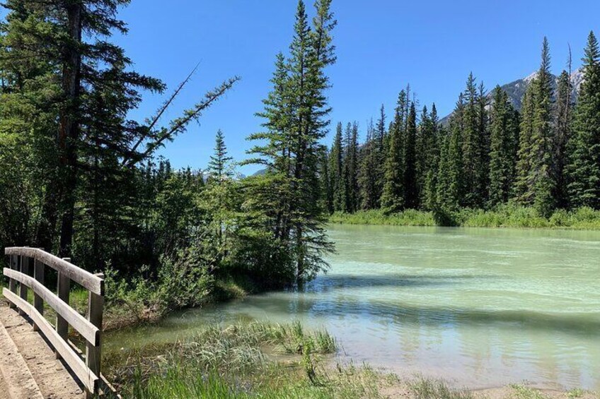 Canmore to Banff & Back - 4 Hours Wildlife Safari Tour and Nature Walk