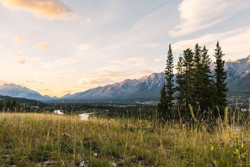 Canmore to Banff & Back - 4 Hours Wildlife Safari Tour and Nature Walk