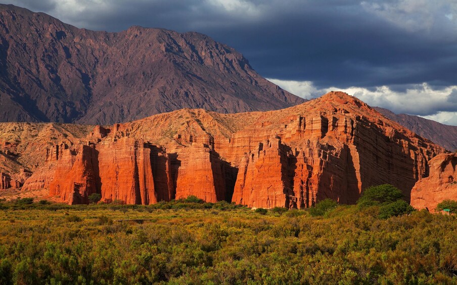 Full-Day Cafayate Sightseeing & Wine Tour